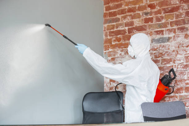 Best Environmental Consulting for Mold Prevention  in Columbia, CA